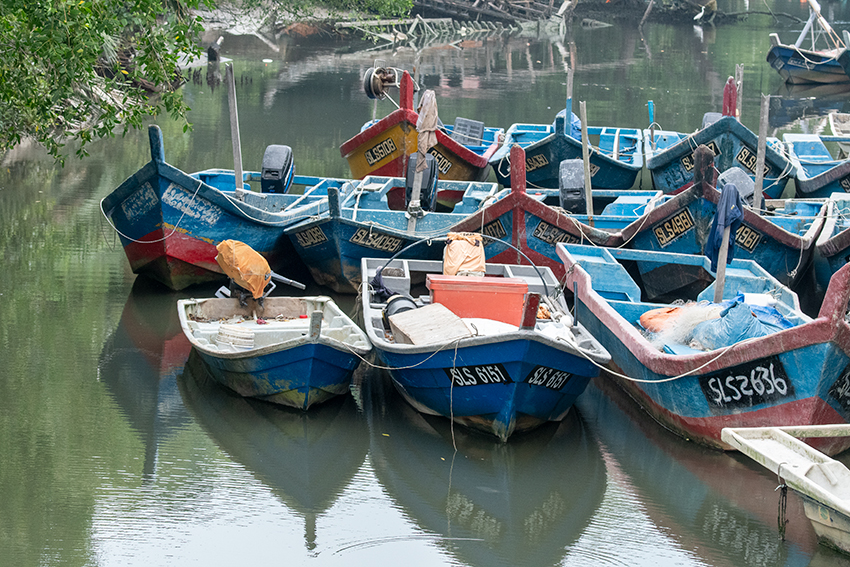 Boats, Kuala Selangor, Peninsular Malaysia