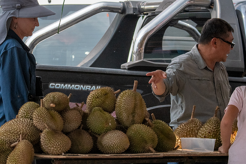 Durian, Drive to Taman Negara, Peninsular Malaysia