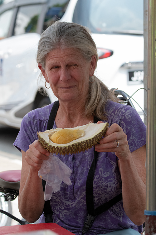 Durian, Drive to Taman Negara, Peninsular Malaysia