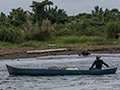 Fisherman, Saropa (Snyder) Canal Boat Trip, Bocas del Toro, Panama