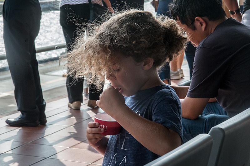 At the Miraflores Locks, Panama