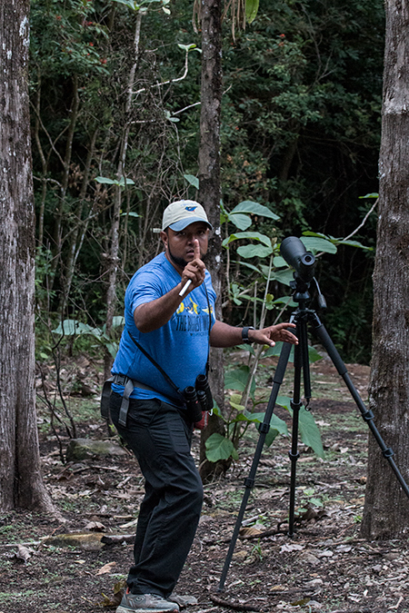 Our Guide, Carlos Bethancourt, Finding the Spectacled Owl, Hannibel's, Panama