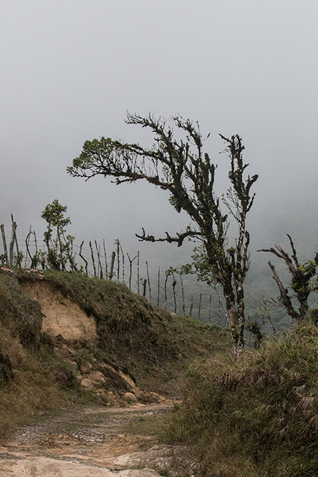 Dirt Road, La Mesa, Panama by Richard L. Becker