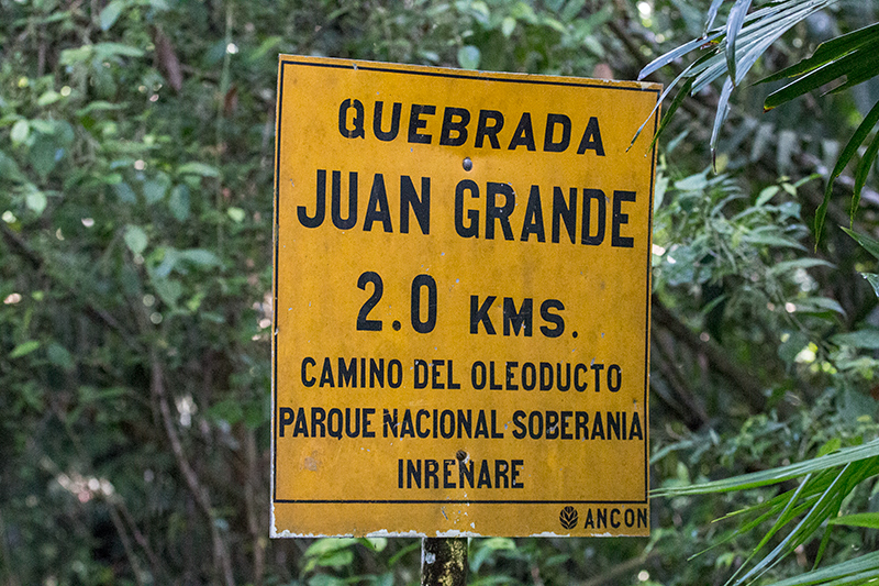 Pipeline Road, Panama by Richard L. Becker