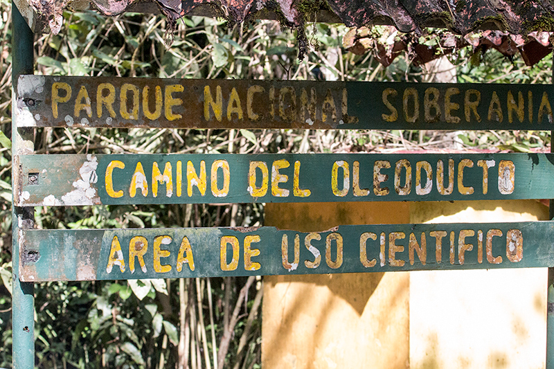 Pipeline Road, Panama by Richard L. Becker