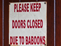 Baboon Warning