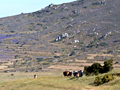 Cape Countryside, South Africa