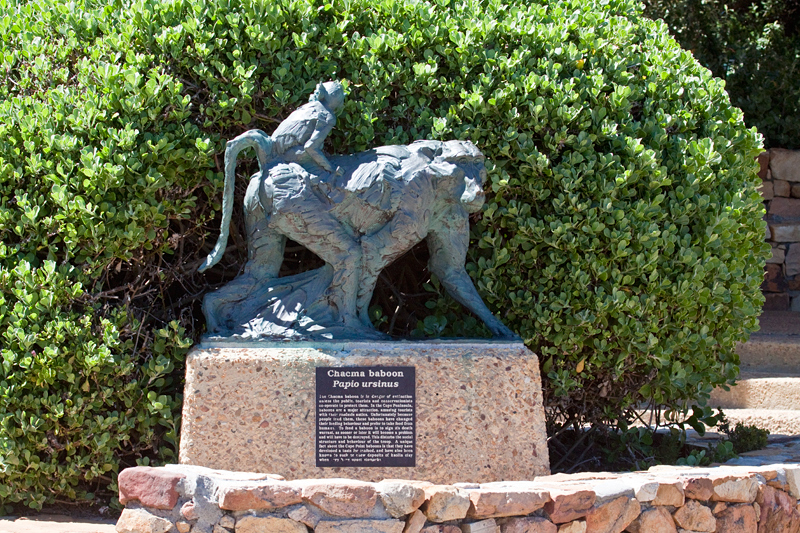 Baboon Statue and Warning Sign, Cape Point, Table Mountain National Park, South Africa