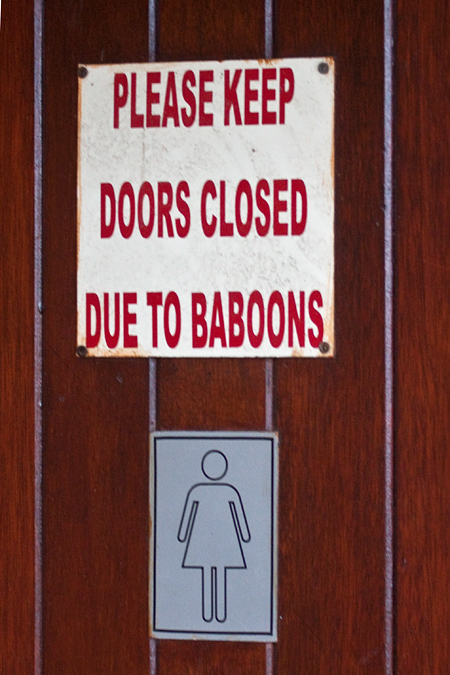 Baboon Warning Sign, Fernkloof Nature Reserve, Hermanus, South Africa