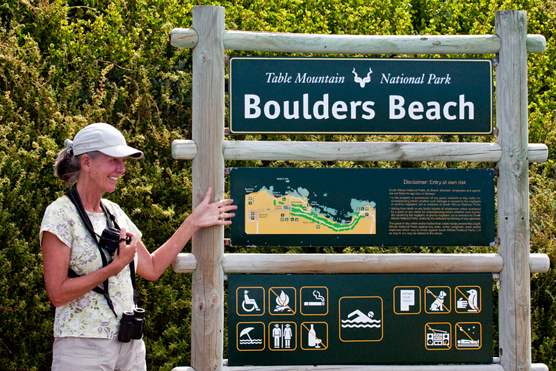 Boulders Beach, Table Mountain National Park, South Africa