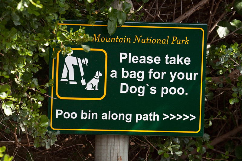 Clean up Dog Poo, Boulders Beach, Table Mountain National Park, South Africa