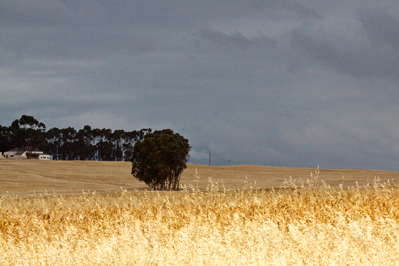 en route Ceres to Velddrif, South Africa