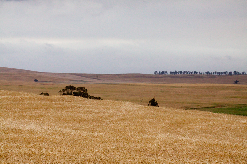 en route Ceres to Velddrif, South Africa