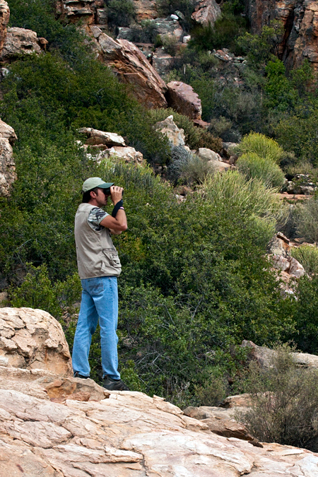 Our Cheepers: Birding on a Budget South African Guides, The Karoo, South Africa