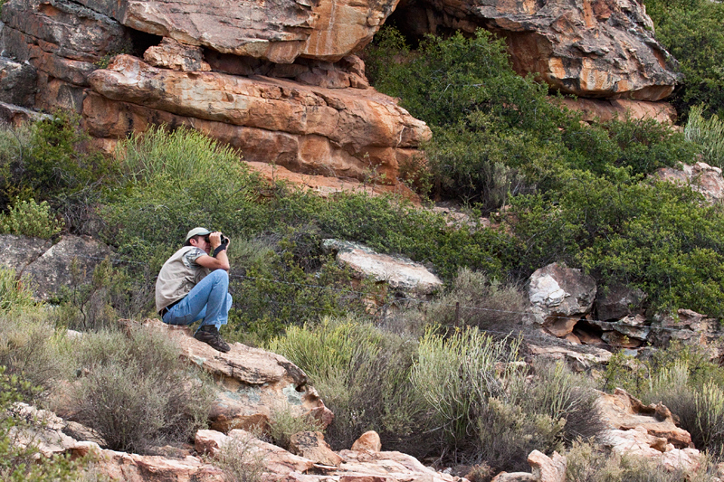 Our Cheepers: Birding on a Budget South African Guides, The Karoo, South Africa