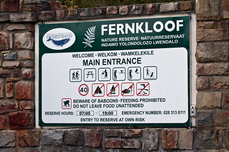 Fernkloof Nature Reserve, Hermanus, South Africa