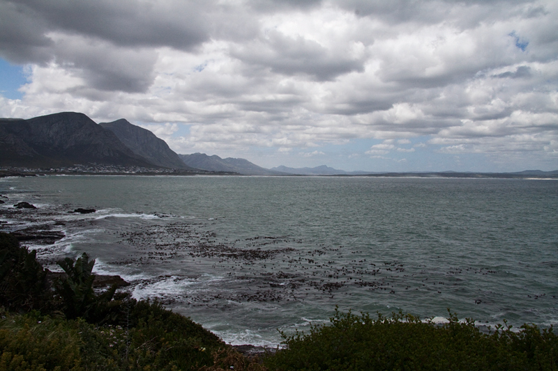 Hermanus, South Africa