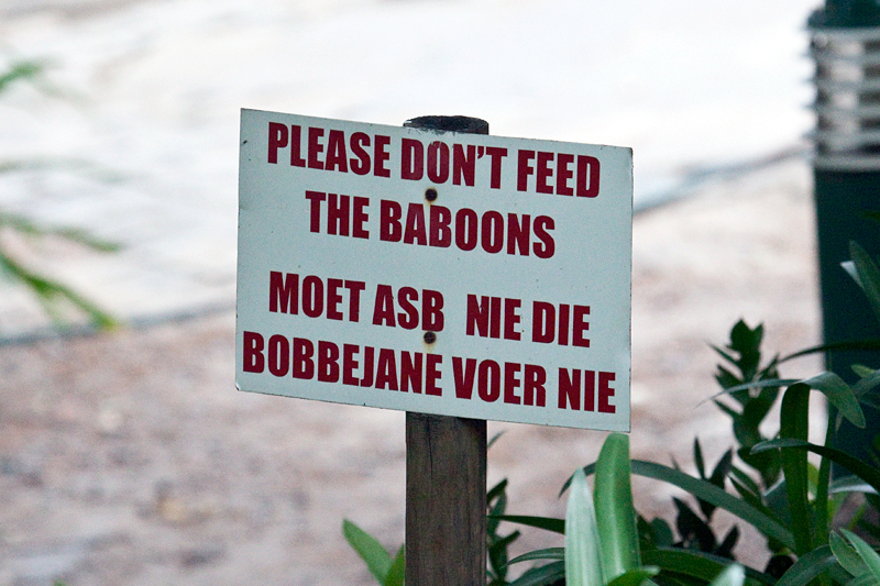 Signs at a Restaurant, Ceres, South Africa