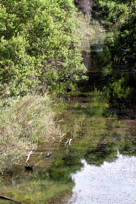 Rust de Winter Area, South Africa