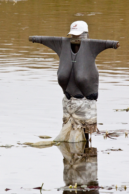 South African Scarecrows, en route Ceres to Velddrif, South Africa