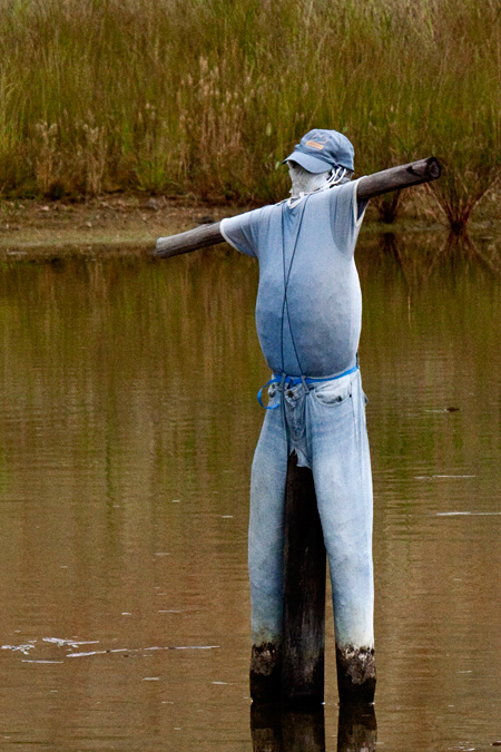 South African Scarecrows, en route Ceres to Velddrif, South Africa