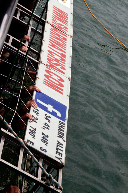 The Shark Dive Cage in the water, Shark Cage Diving in Kleinbaai, South Africa