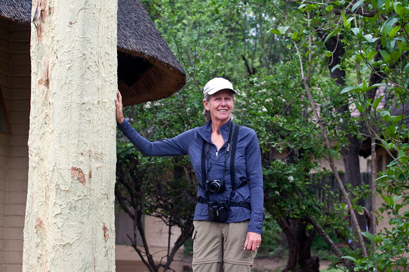 At Skukuza Rest Camp, Kruger National Park, South Africa