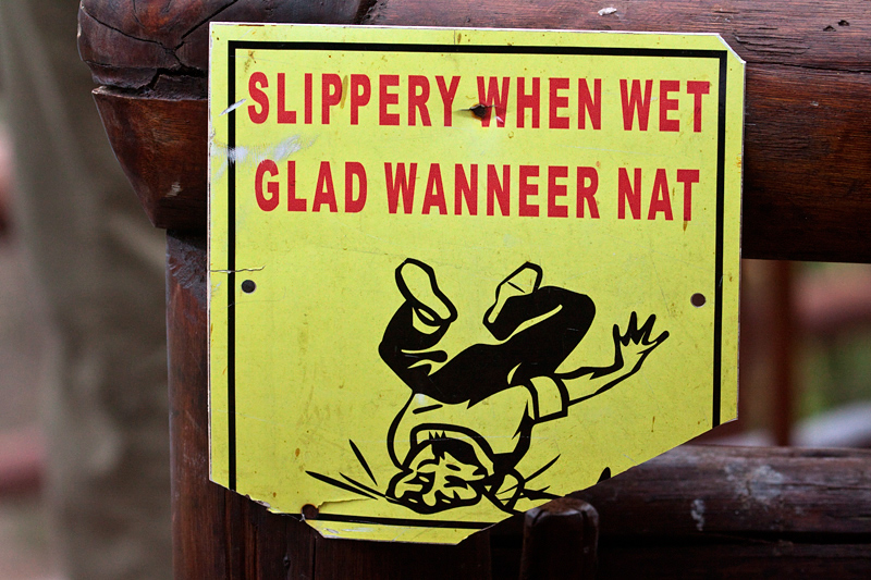 Slippery When Wet, en route Olifant's to Letaba Rest Camp, Kruger National Park, South Africa