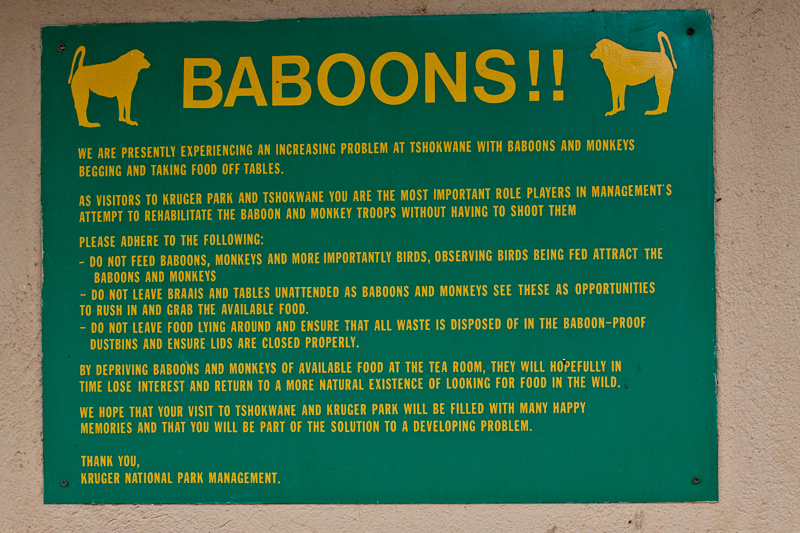 Baboon Sign, Tshokwane Picnic Site, Kruger National Park, South Africa