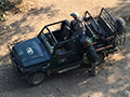 Safari, Jim Corbett National Park, India